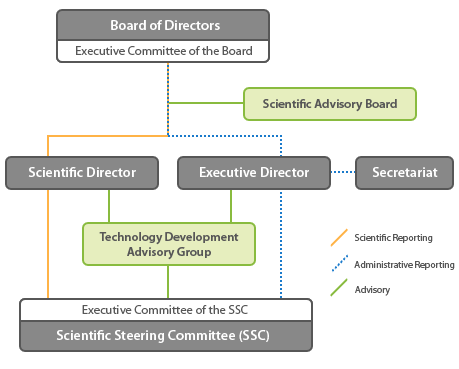 iBOL Organizational Chart