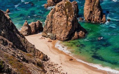 Summary of National Barcoding Activities for Portugal