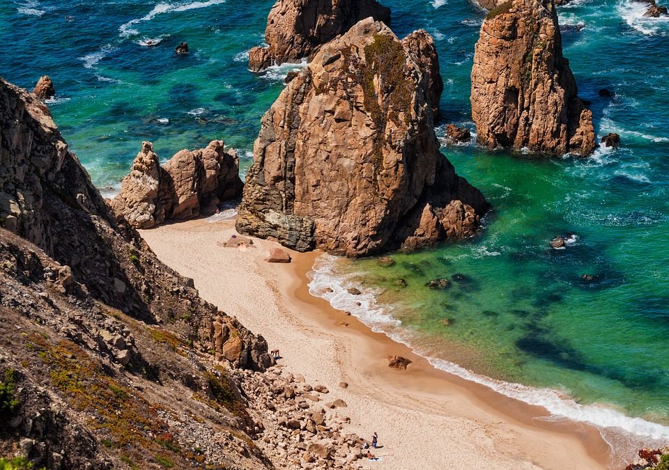 Summary of National Barcoding Activities for Portugal