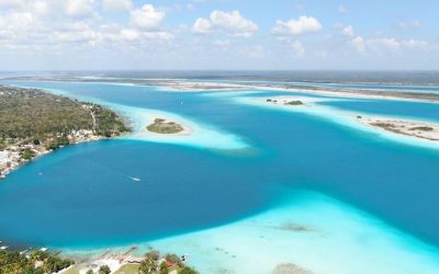 Resident or invasive species? Environmental DNA can provide reliable answers