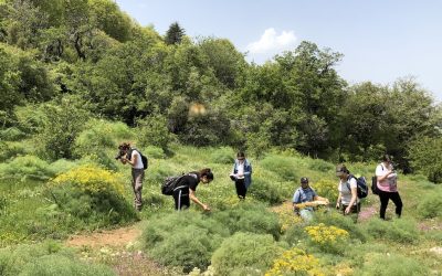 Scat Raiders Unravel Animal-Plant Interactions in Lebanon Using DNA Barcoding Tools