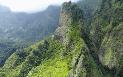 BIOSCAN: tracking biodiversity on Earth