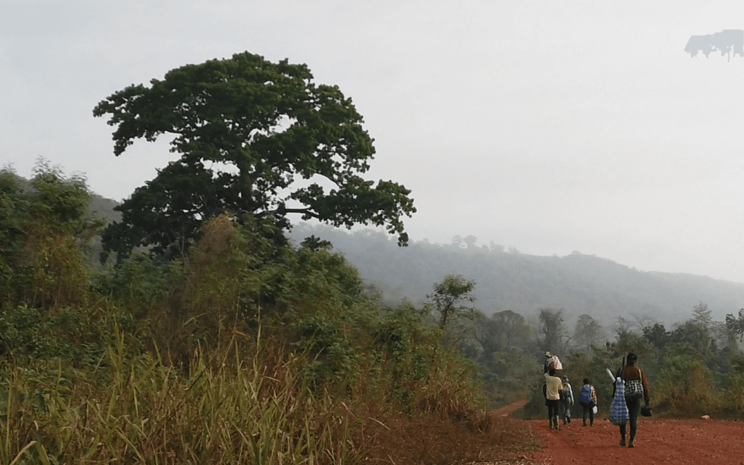 Using DNA barcodes in the fight against Malaria