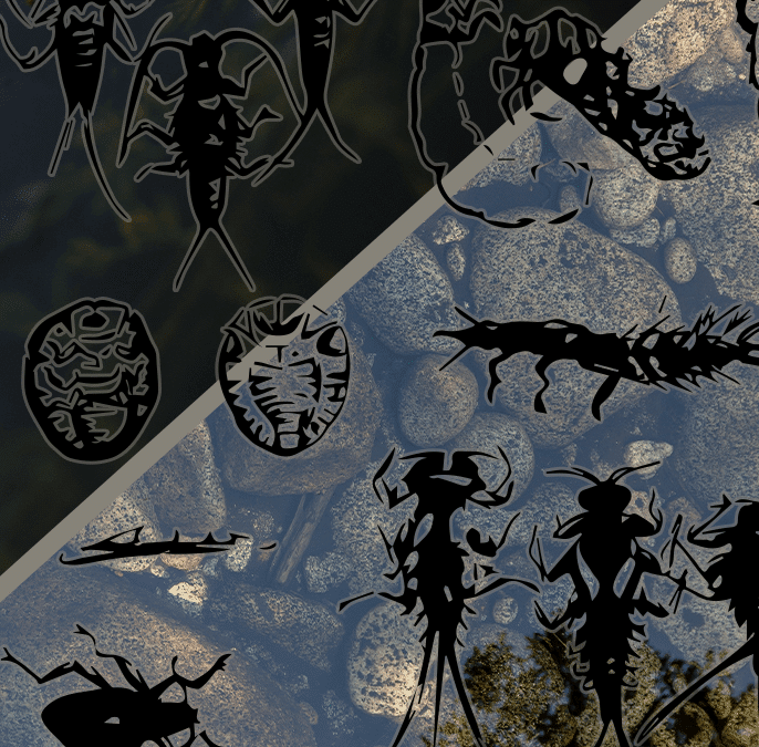 The ecological role of mosquito larvae in aquatic environments