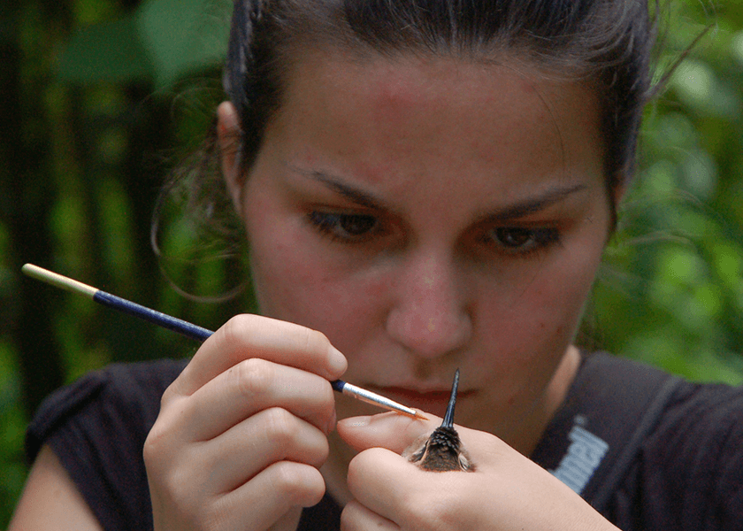 Specialists to Generalists in Tropical Ecosystems