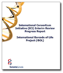 InterimReview
