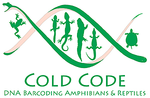 CC logox300