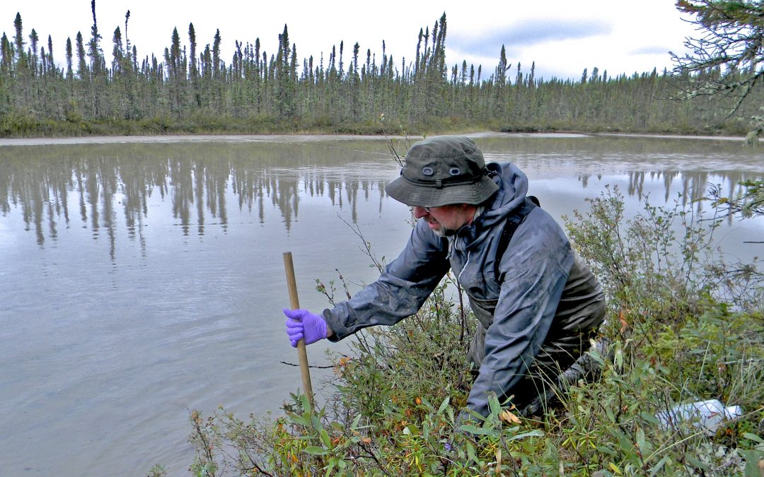 Watered down biodiversity: sample type is critical in environmental DNA studies for biomonitoring