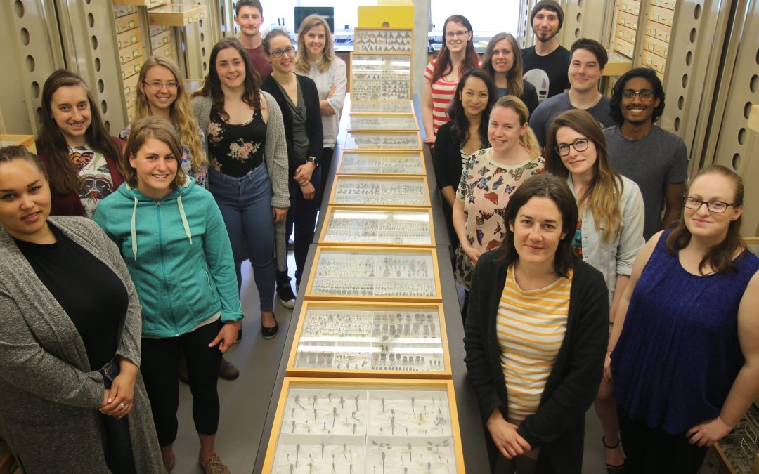 Natural History Collection at the Centre for Biodiversity Genomics Surpasses 5 Million Specimens