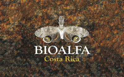 Webinar: DNA barcodes, BioAlfa, and the study of insect diversity in Costa Rica