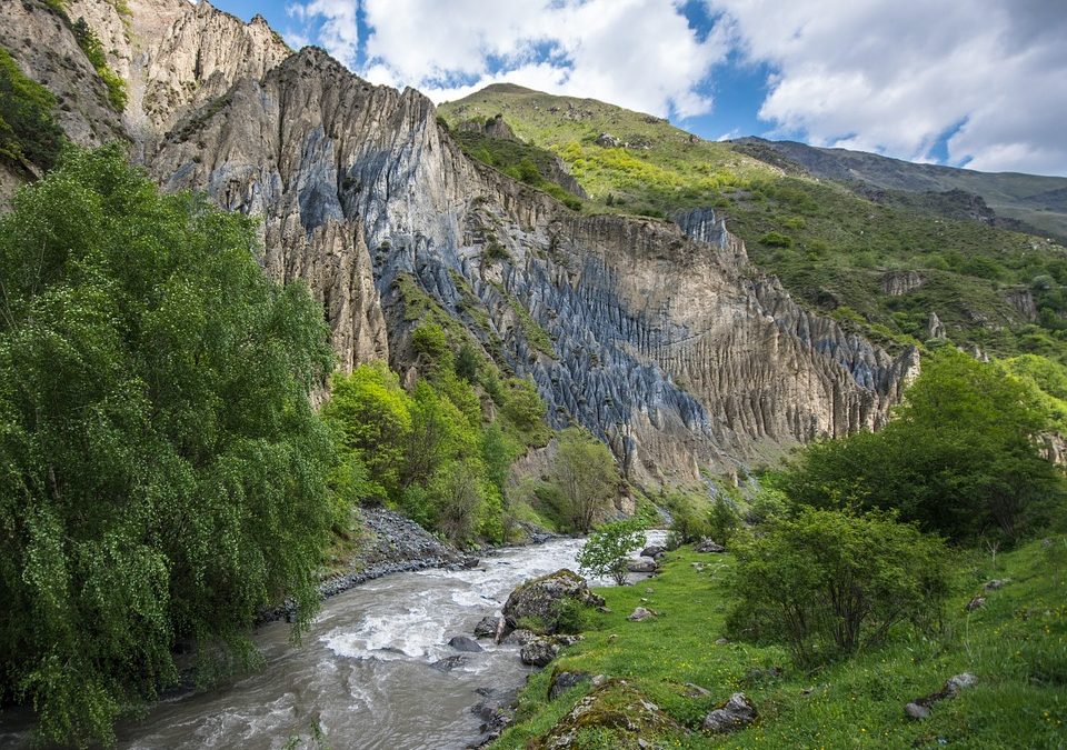 Georgia joins iBOL to expand knowledge of biodiversity-rich Caucasus region