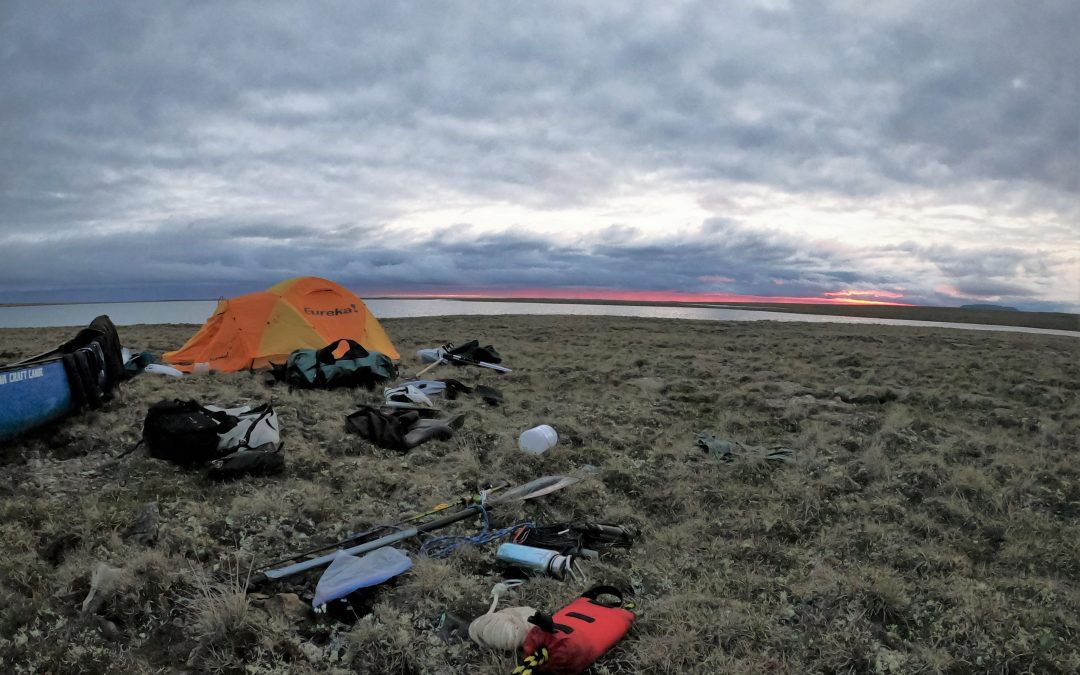 Arctic BIOSCAN team prepares for a new field season in Nunavut