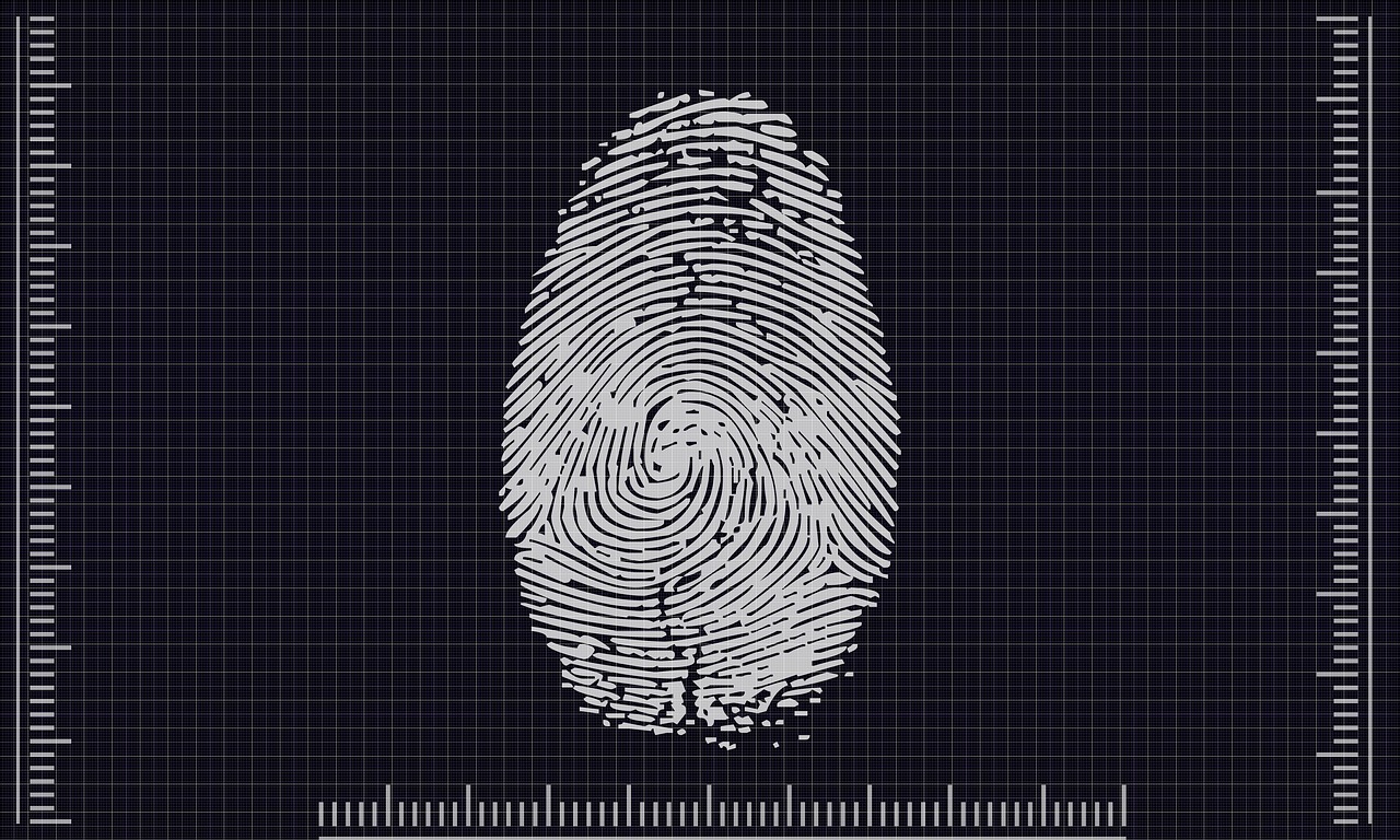 biometrics, access, identification-4503187.jpg